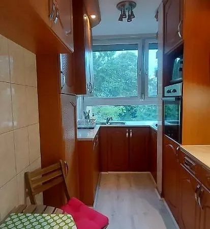 Kislakas Buda Sziveben Apartment